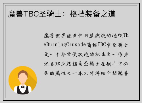 魔兽TBC圣骑士：格挡装备之道